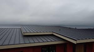 Steel Roofing in Coal Fork, WV